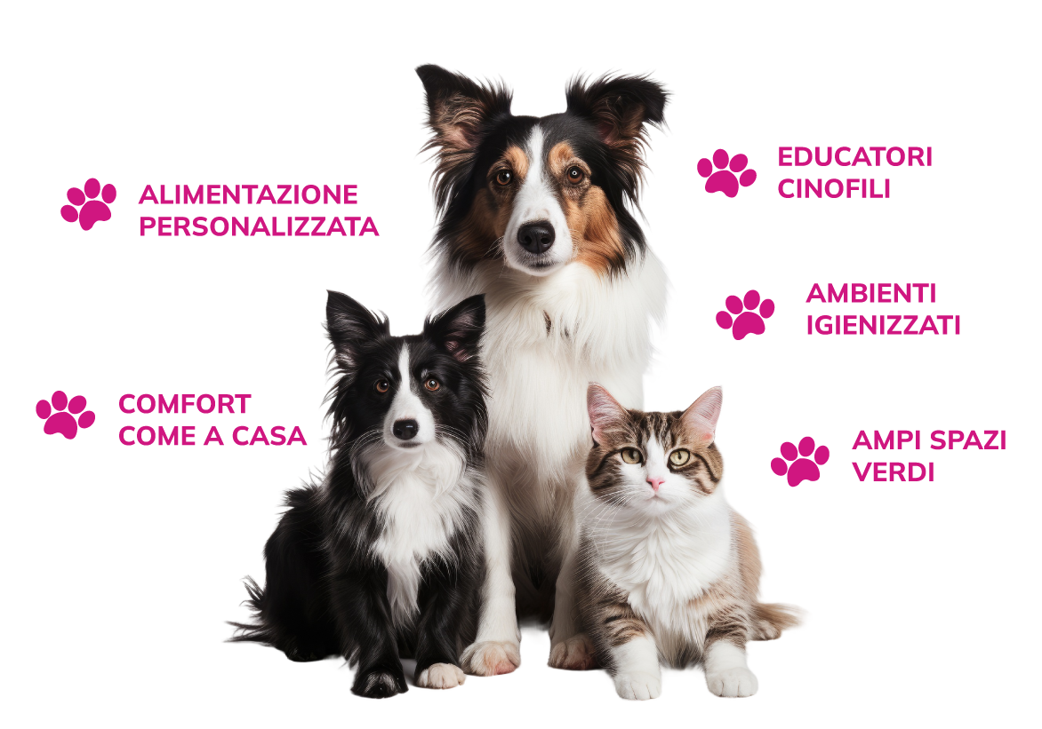 Alimentazione cane Clinica del cane Brescia