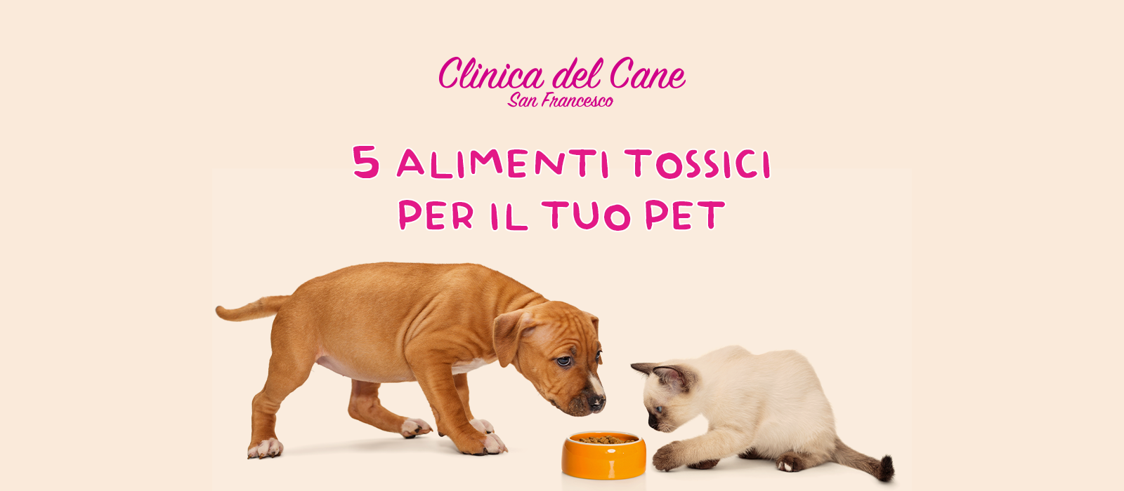 alimenti tossici cani e gatti