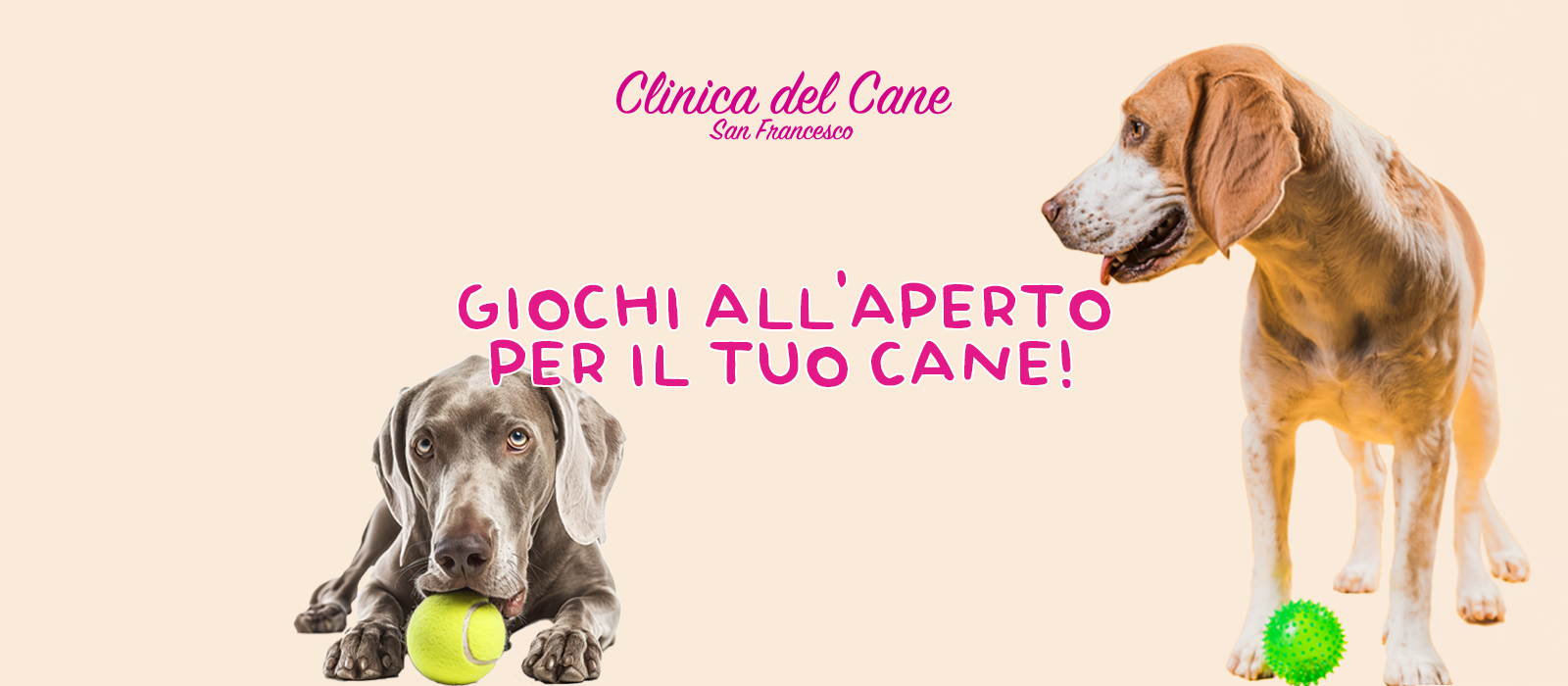Giochi all'aperto per cani