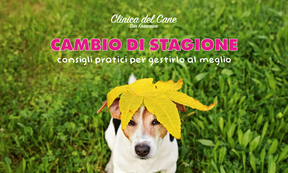 newsletter cambio stagione  04 2026