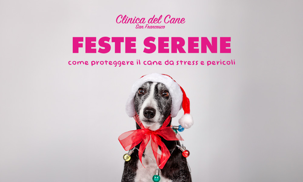 newsletter feste serene   12 2025