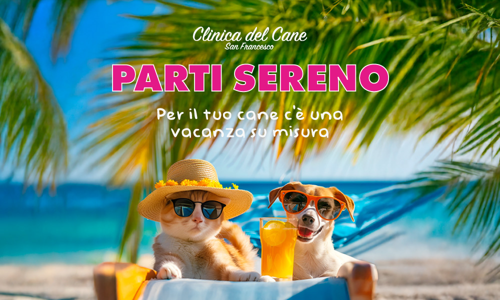 newsletter partenza hotel   2025
