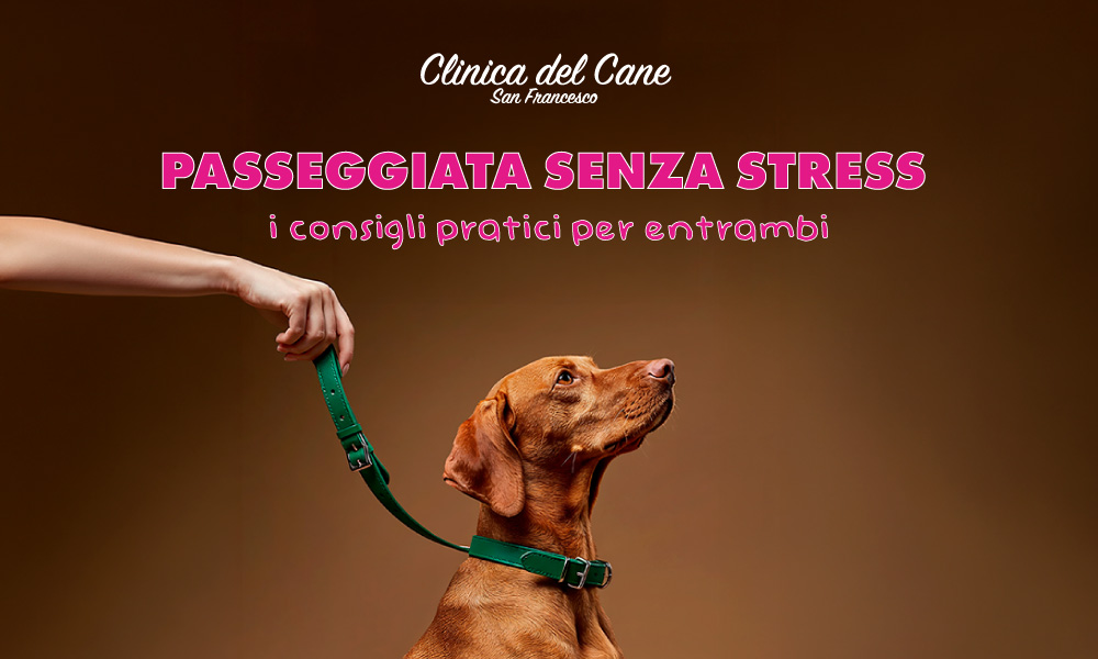 newsletter passeggiata senza stress   2025