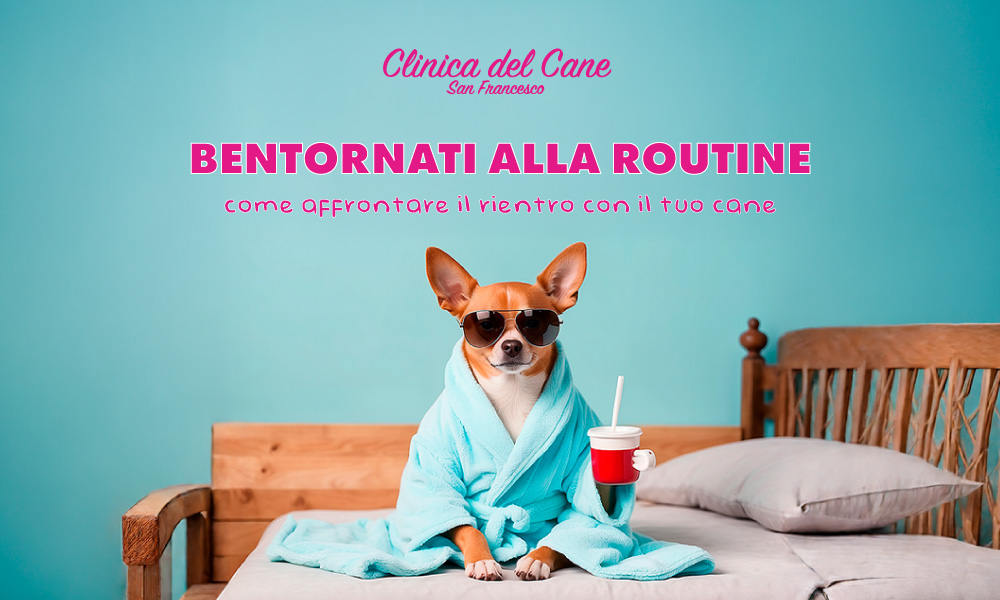 newsletter routine 2025