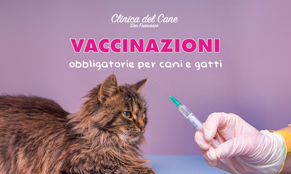 newsletter vaccinazioni  2025