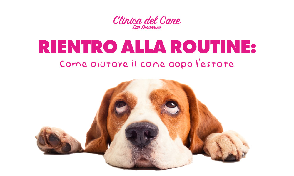 newsletter settembre 26 rientro