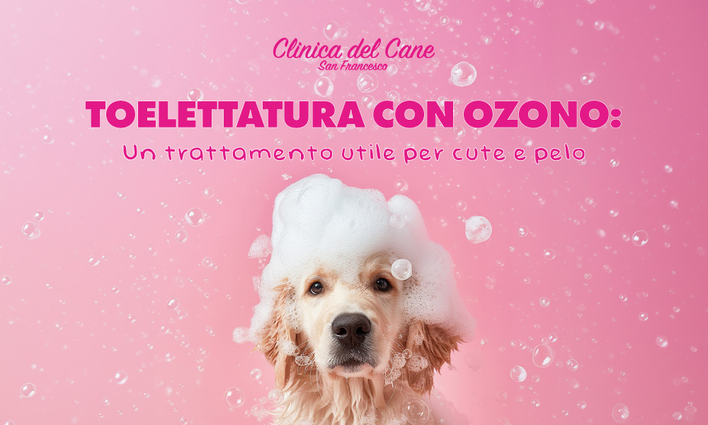 newsletter ottobre 26 ozono